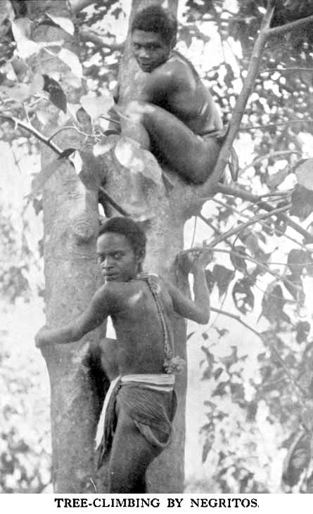 Tree-climbing by Negritos Negrito Shooting