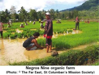 Negros 9 Organic Farm