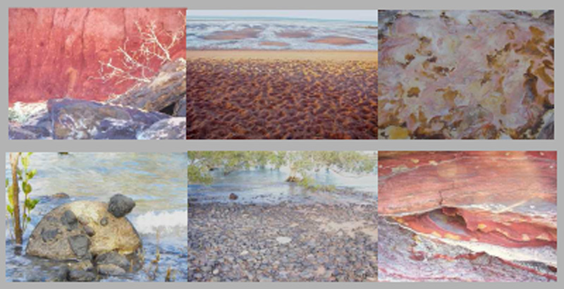 The Colours of Broome
